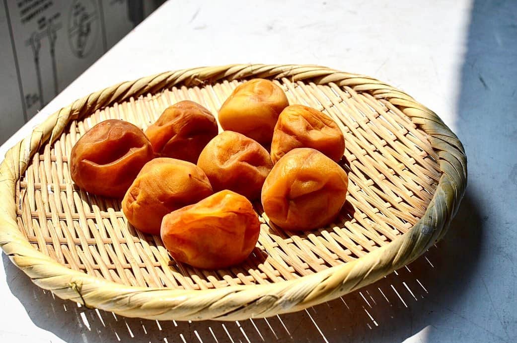 酒井商会のグルメインスタ