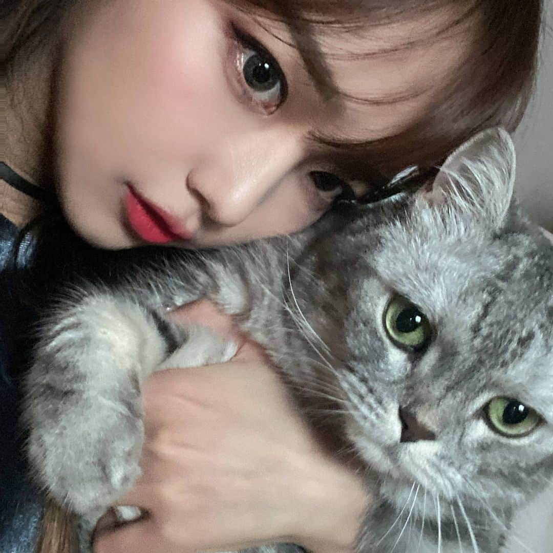 パク・ヘソンさんのインスタグラム写真 - (パク・ヘソンInstagram)「😼❤🙂」8月6日 16時26分 - hyesunee