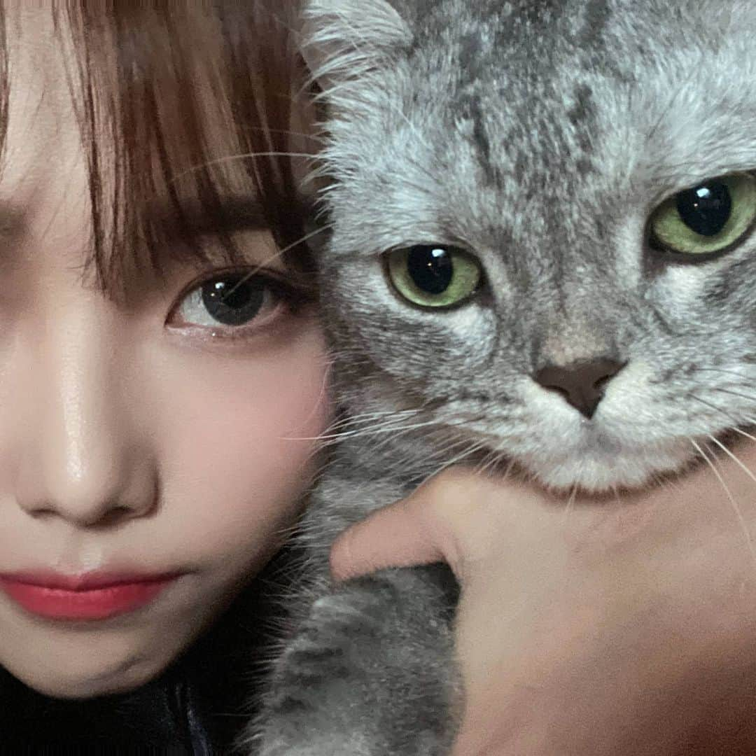 パク・ヘソンさんのインスタグラム写真 - (パク・ヘソンInstagram)「😼❤🙂」8月6日 16時26分 - hyesunee