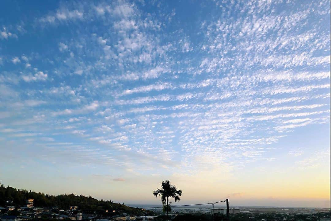 Honolulu Myohoji Missionさんのインスタグラム写真 - (Honolulu Myohoji MissionInstagram)「Hope you had a great day today! Sunset from yesterday was majestic 🌟  * * * * #ハワイ #ハワイ好きな人と繋がりたい  #ハワイだいすき #ハワイ好き #ハワイに恋して #ハワイ大好き #ハワイ生活 #ハワイ行きたい #ハワイ暮らし #オアフ島 #ホノルル妙法寺 #HawaiianAirlines #ハワイアン航空 #思い出　#honolulumyohoji #honolulumyohojimission #御朱印女子 #開運 #穴場 #パワースポット #hawaii #hawaiilife #hawaiian #luckywelivehawaii #hawaiiliving #hawaiistyle #hawaiivacation」8月6日 16時27分 - honolulumyohoji