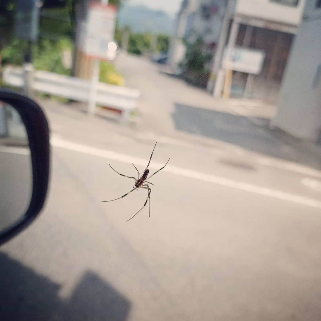 松本隆博のインスタグラム：「。 窓の外側に蜘蛛の巣(; ﾟﾟ)。 車で走り出して気付いた、､ なんとかしてあげたいと 路肩停めるとこ探して走って たら、もう少しの所で風圧で 飛ばされてしまったんだ😭。 ごめんな。。」