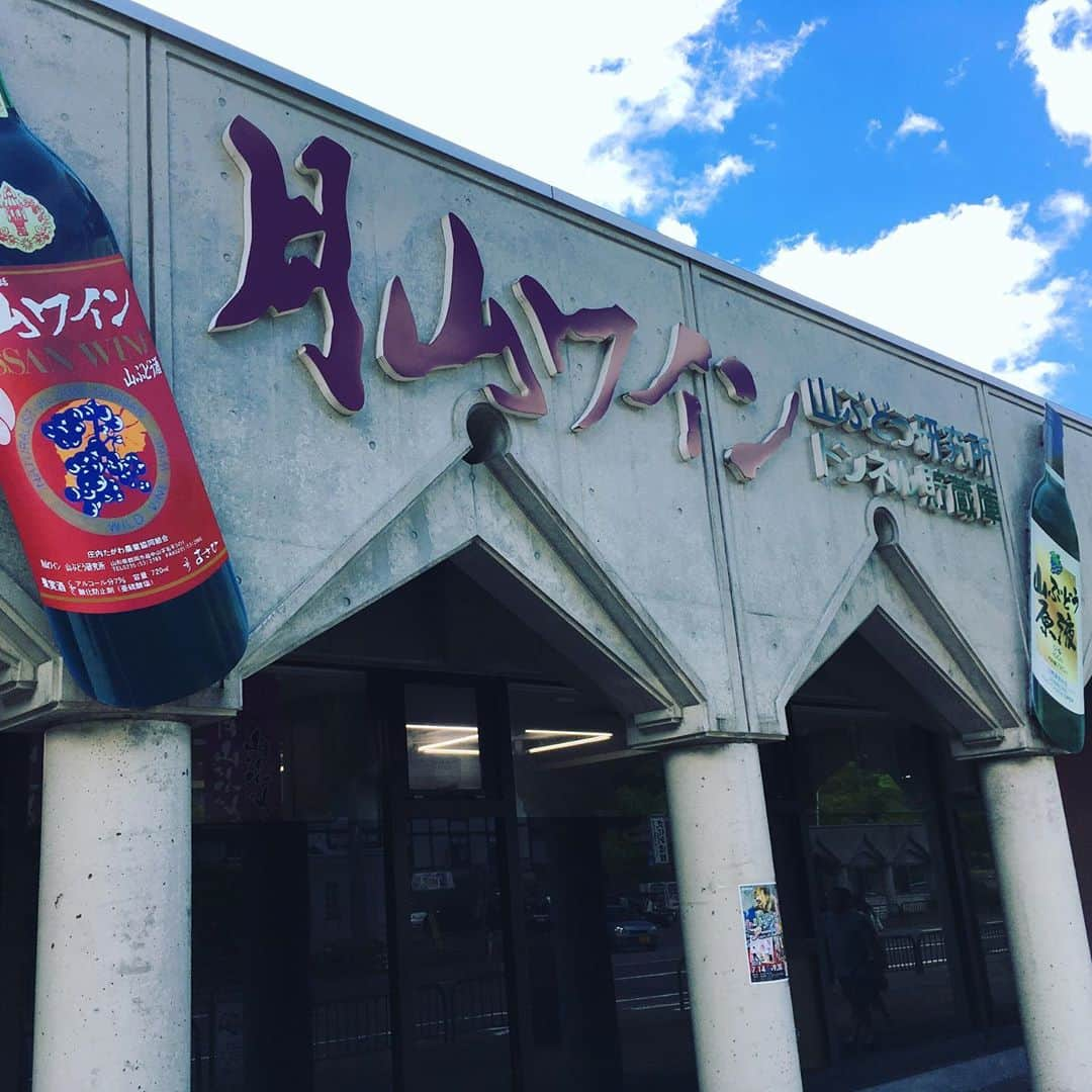 ひぐち君さんのインスタグラム写真 - (ひぐち君Instagram)「先月の豪雨により、山形県鶴岡市のワイナリー「月山ワイン山ぶどう研究所」の貯蔵庫が浸水の被害に遭ってしまいました。 貯蔵庫にあったワインの1/4にあたる、8000本が水に浸かってしまい、出荷できないことに。 現在、復旧作業中ですが、流通には支障がないとのことなので、月山ワインネットショップにて、ワインのご購入による支援をお願いいたします。 【月山ワインの一部をご紹介】 "ソレイユルバン"シリーズの 甲州シュールリーは、甲州最北の栽培地・鶴岡市櫛引地区の葡萄を使用し、キレのある酸が特徴的。櫛引地区西荒屋では、250年の甲州栽培の歴史があります。昨年のG20大阪サミットでも採用されたほどの品質。 ロザートフリッザンテは、鶴岡市産ヤマソーヴィニヨン(ヤマブドウとカベルネソーヴィニヨンの交配品種)のロゼの微発泡。小梅のような酸がとてもキレイな、心地よい泡。 などなど、コスパの素晴らしいワインが他にもありますので、ぜひご覧ください。 月山ワインネットショップはこちらです↓ https://www.gassan-wine.com/shop/ #月山ワイン山ぶどう研究所  #山形県　#鶴岡市 https://www3.nhk.or.jp/lnews/yamagata/20200805/6020007716.html」8月6日 16時46分 - higehiguchi