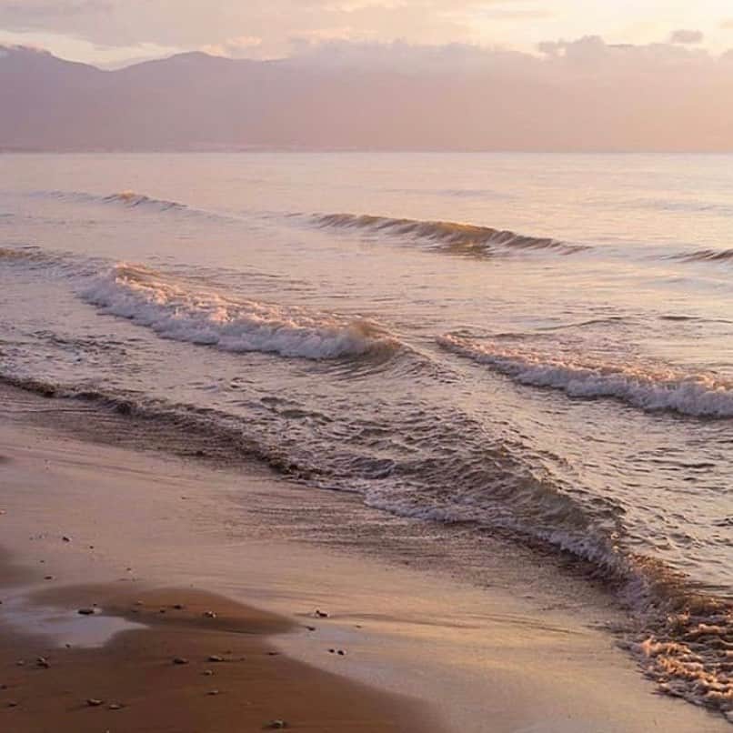 エステルデヴェのインスタグラム：「Beach morning thoughts. Image via @thibautmathieuad 🐚」