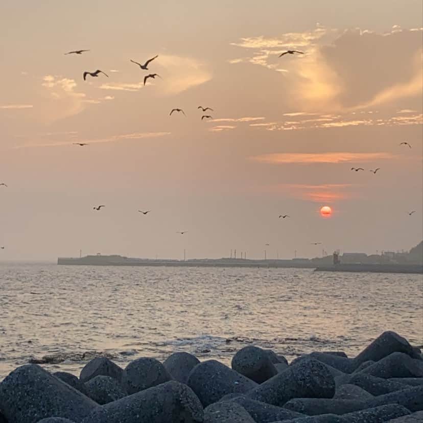 野島樺乃のインスタグラム：「夏の黄昏時 . . . #夏空 #空 #夕陽 #海 #黄昏時 #写真 #写真撮影 #空が好き」