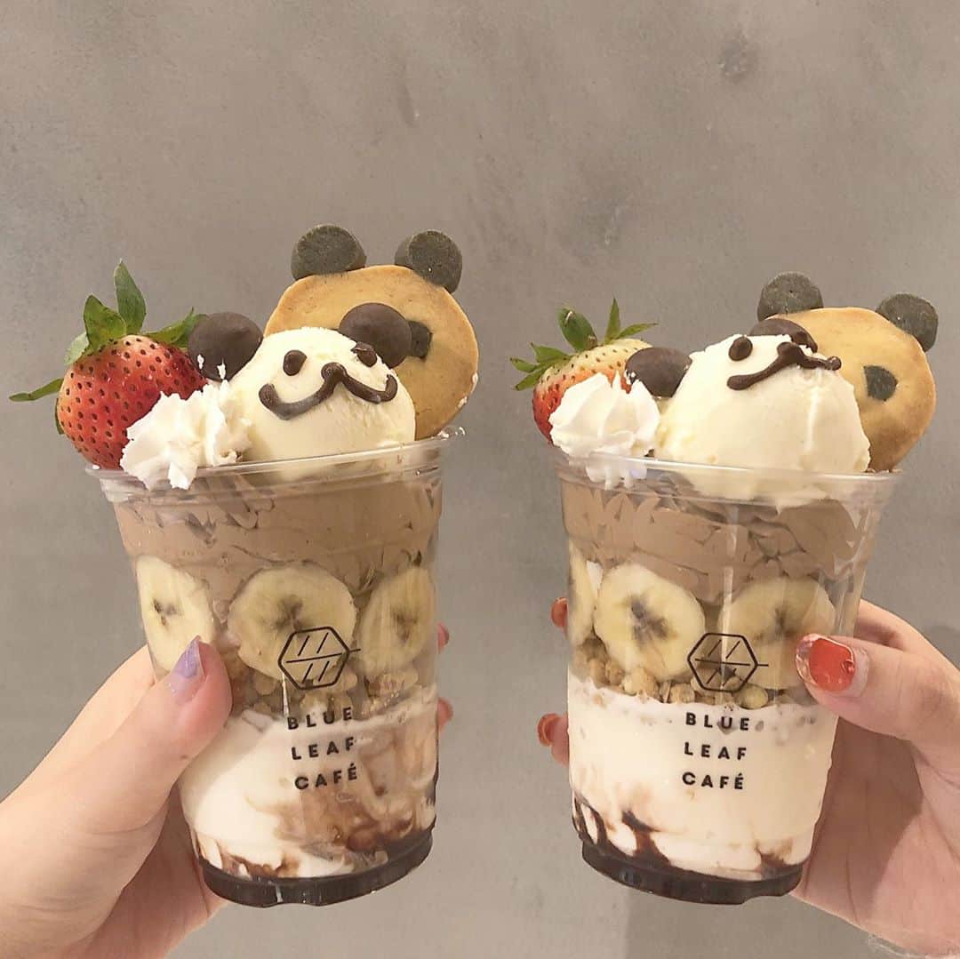 のインスタグラム：「暑すぎて倒れそうなのでアイスがのってるドヤ顔パンダを食した🐼笑　　  右のパンダのドヤぶりが😂  最近毎日忙しい…またお勉強しないと😭   継続は力なり😭  #上野カフェ #上野 #ドヤ顔　#パンダ #パンダグッズ #上野グルメ #上野動物園パンダ #イチゴ #チョコパフェ #カフェ好きな人と繋がりたい #カフェ巡り #カフェ #カフェ部  #かわいい #かわいいカフェ #キャラクターカフェ #継続は力なり #ドヤ顔」