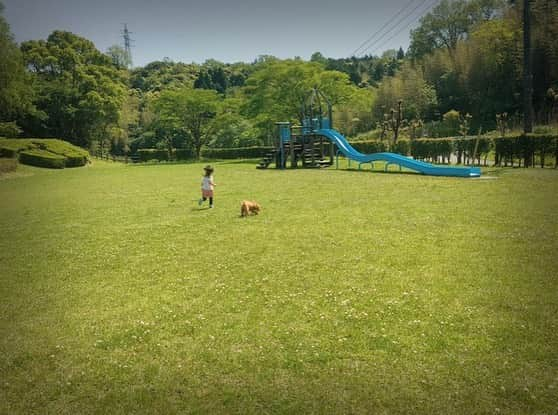 近藤夏子さんのインスタグラム写真 - (近藤夏子Instagram)「私の大好きな地元、島根県大田市❤️ そんな大田市の写真で、フォトコンテストが開催されております🤗 ✨大田市観光フォトコンテスト✨ 今はなかなか大田に行くことはできないけど過去に撮った写真でもOK🙆‍♀️ @iwami_shimane_japan のアカウントをフォローしてから、、 #大田の魅力 ←このハッシュタグをつけて、インスタに投稿してください🕵️‍♀️(鍵垢は🆖) なかなかの金額の賞金出るみたいよ🤑笑 もちろん地元に住んでる方の投稿もOK🙆‍♂️ 自分の大好きな"大田市"を切り取ってみましょーー❤️ ちなみに私は、、、 1枚目…世界遺産石見銀山の街並み 2枚目…国立公園三瓶山 3枚目…小さい頃から遊びに行ってるアスレチック 4枚目…温泉津の神楽 5枚目…仁摩サンドミュージアムの1年砂時計 で、応募だぁー😍 思い出振り返るのも楽しかったし、是非皆さんも挑戦してみてください☺️ 応募方法とか、賞金とか、詳しいことは"大田市観光フォトコンテスト"で検索してみてくだせぇ💕 入賞しますように。(観光大使だけど、本気で賞金狙ってる。よ。) #大田の魅力 #大田市観光フォトコンテスト #観光大使 #島根県大田市 #石見銀山 #三瓶山 #神楽 #仁摩サンドミュージアム #砂時計 #アスレチックは中学の時のデートスポットでもあった #ここでたけちゃんにバレンタインのガトーショコラ渡したこともあったなぁ #良き思い出 #早く観光できる日が来ますように #最近大田市からの観光大使としてのお仕事なくて寂しいでぇす #いつでも連絡お待ちしてますよぉ」8月6日 17時24分 - kondonatsuko