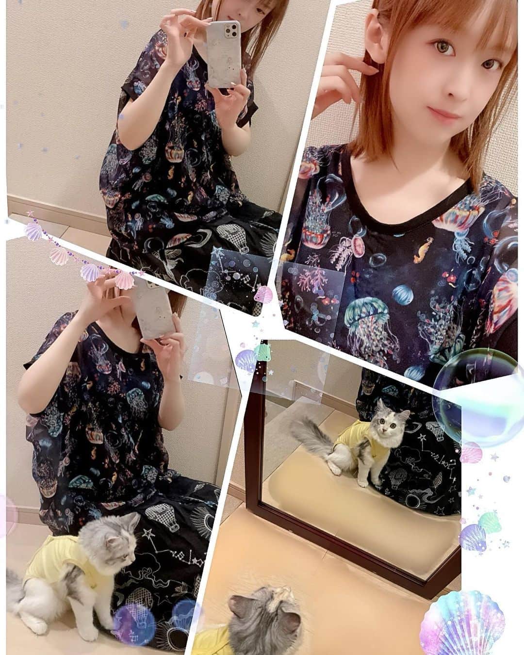 桜咲千依のインスタグラム：「スカラーのクラゲのトップス涼しげでやっぱり可愛い～( *´꒳`* ) スカートもスカラー✨  ほたちゃん鏡が気になるのかな🐈 可愛い😆❤  #スカラー #ScoLar #スカラーちゃん親衛隊  #猫 #マンチカン #ほたて」