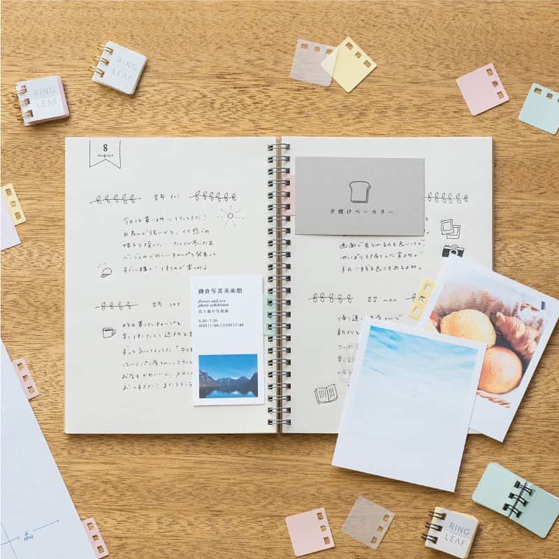 のインスタグラム：「📒思い出のチケットやカードを『リングリーフ』で残そう . 先月新色が発売されたばかりの『リングリーフ』🌱 . 美術館のチケットや映画の半券、 立ち寄ったカフェのショップカード、 友達からもらったメッセージなど、 「どこにしまっておこうかな？」と 悩んだ紙をリングノートに綴じることができます😌 . ノートといっしょなので、 そのときの出来事や気持ちを書き添えて 残せるのも嬉しいポイント✨ . みなさんの思い出も ぜひ『リングリーフ』で綴じてみてください☺️ .  ＊商品詳細は、プロフィールより弊社公式HPをご覧ください。 ＊ロフトや東急ハンズ、全国の文具専門店・量販店（一部店舗）にてお取り扱いいただいております。 ＊各店舗の在庫状況は、お手数をおかけいたしますが、お客さまより直接販売店舗さまへご確認ください。 ＊カンミ堂公式オンラインストア［PETICA-プチカ-］・Amazonでもお取り扱いがございます。 .  #new #新商品 #RINGLEAF #リングリーフ  #カンミ堂 #kanmido #ライフログ #マイノート #アルバム #リングノート #シンプル #手軽 #stationery #bungu #文具 #文房具 #文房具好き #stationeryaddict」