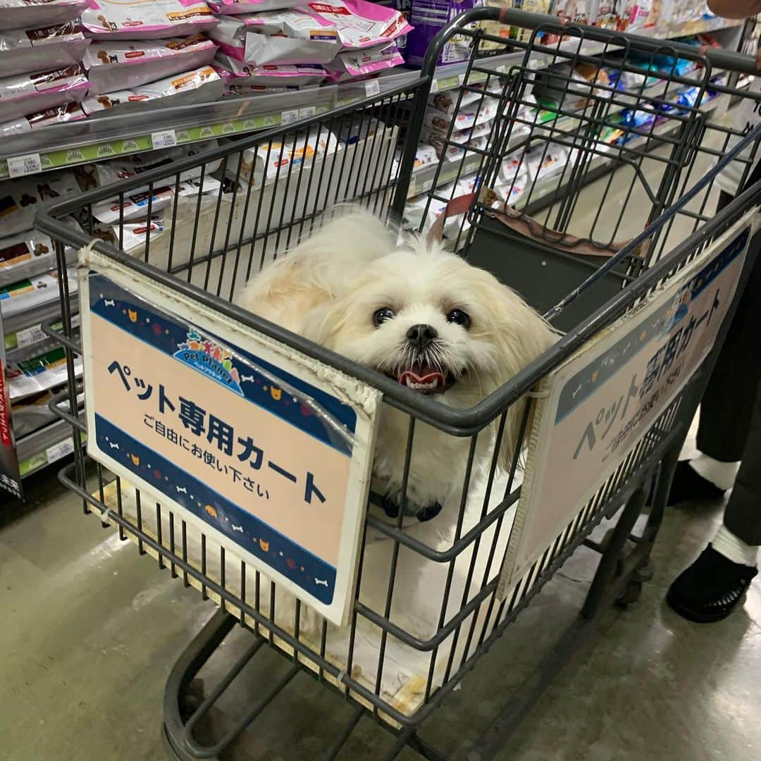 早乙女ゆみののインスタグラム