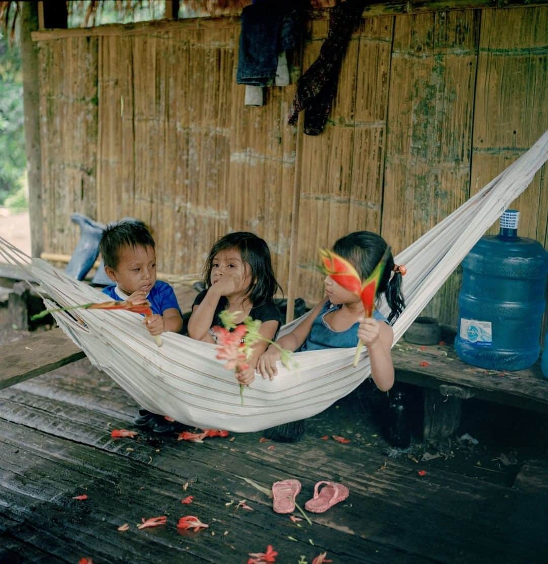 National Geographic Travelさんのインスタグラム写真 - (National Geographic TravelInstagram)「Photo by @amritachandradas  Children from the Kichwa community huddle together in a hammock outside their home in Yasuni National Park, Ecuadorian Amazon. They play with heliconia, also known as lobster claw flowers, freshly picked from the jungle for a naming ceremony of a baby girl. She was named after me, as the people of the Kichwa community had never heard of my name, Amrita, before. The entire experience was surreal and truly unforgettable.  Follow me @amritachandradas for more photos from around the world. #Ecuador #Amazon #Pompeya #Heliconia」8月7日 5時06分 - natgeotravel