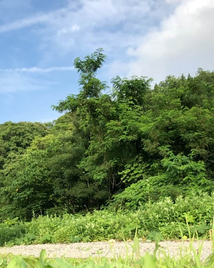 矢澤一輝のインスタグラム