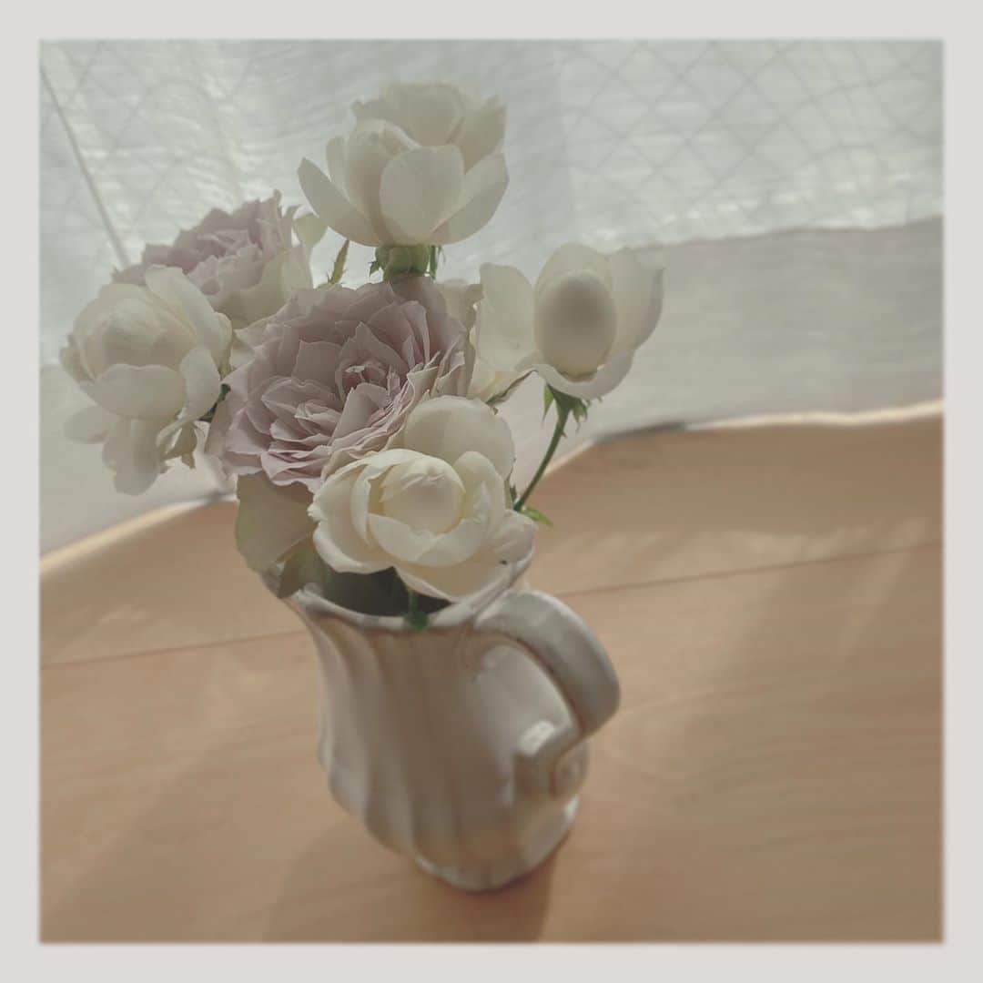小原好美さんのインスタグラム写真 - (小原好美Instagram)「薔薇のお花は種類があって どれも雰囲気全然違うからすき。  スイートオールドとラピスヴェール 薔薇同士だけどよきっ。  #コメントありがとうございます #花のある生活」8月6日 21時08分 - konomi_kohara0628