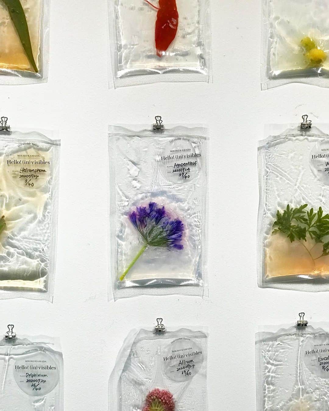 倉岡晋也のグルメインスタ