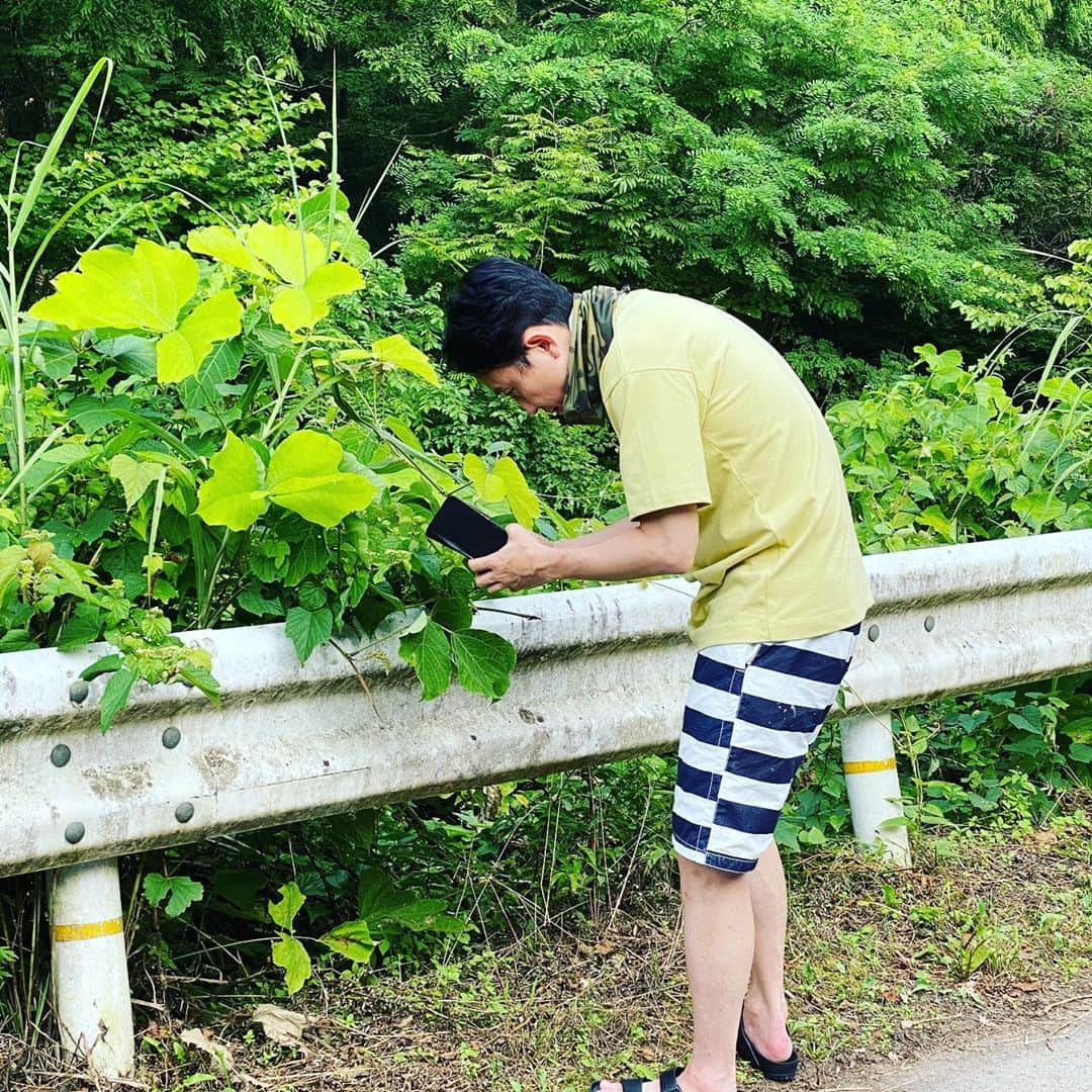 有吉弘行さんのインスタグラム写真 - (有吉弘行Instagram)「虫の写真撮ってるところを写真撮られて、すごく恥ずかしい。。。  #有吉の夏休み2020」8月6日 21時26分 - ariyoshihiroiki