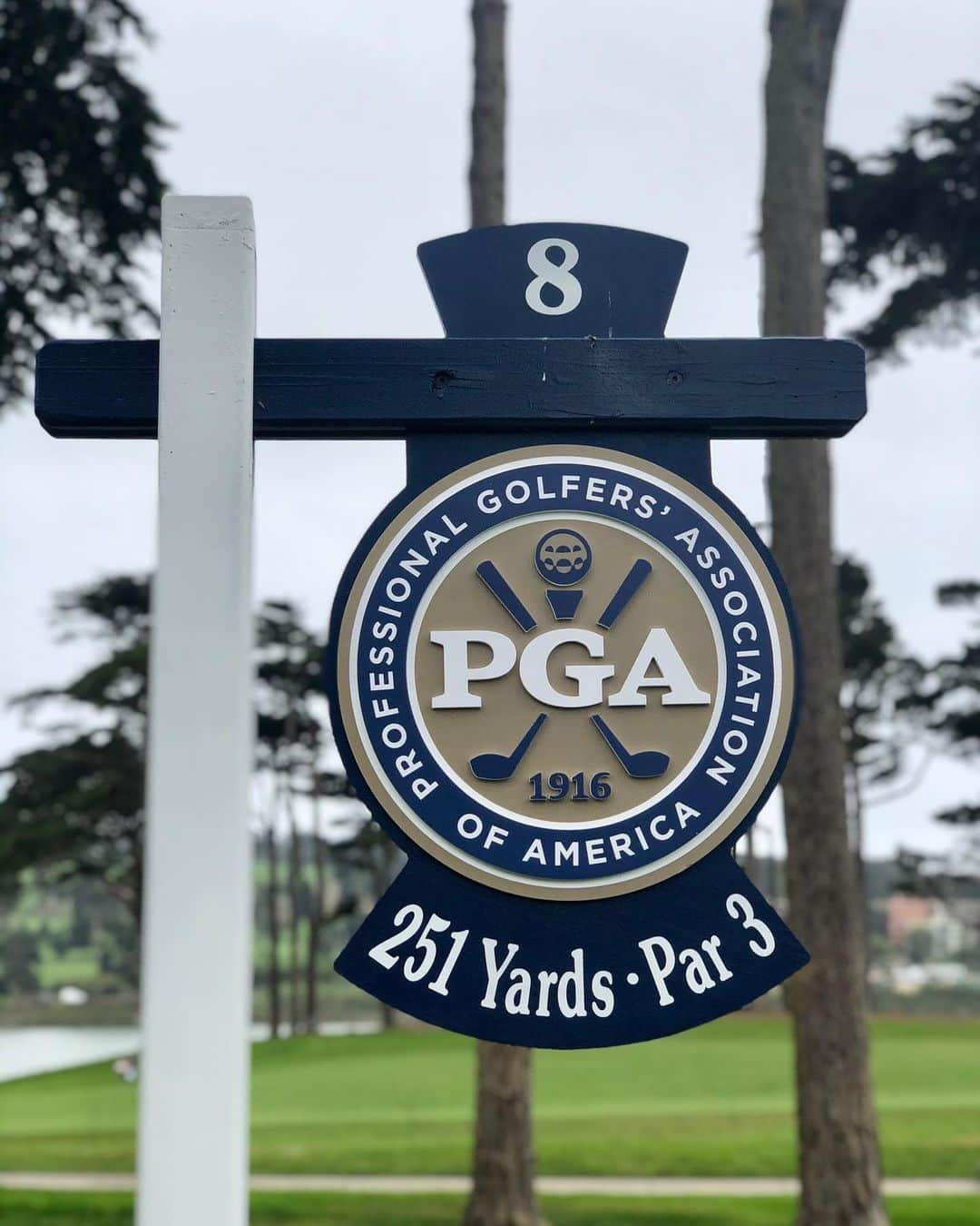 PGA TOURさんのインスタグラム写真 - (PGA TOURInstagram)「What club(s) are you using on this par 3? 🤔」8月6日 21時55分 - pgatour