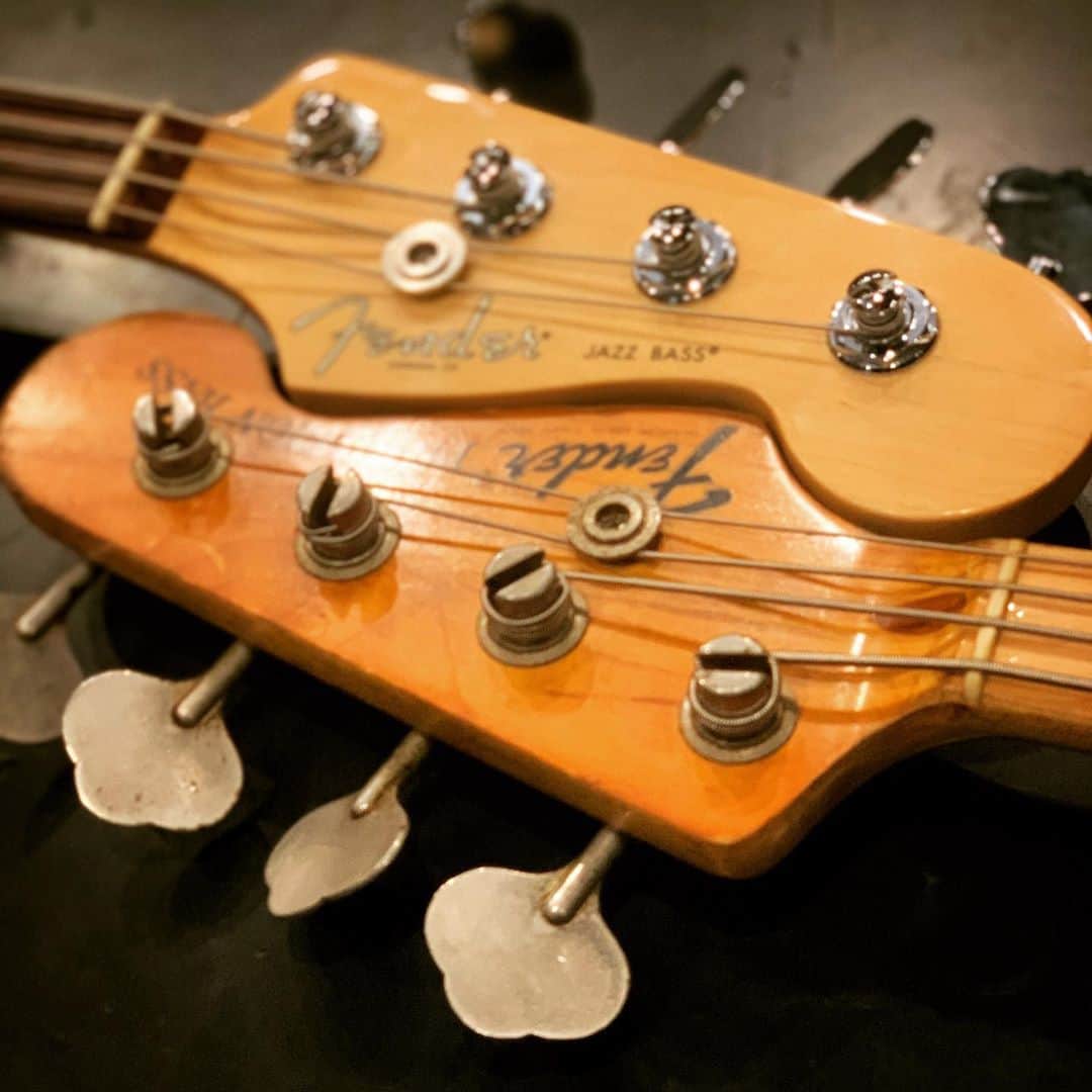 のインスタグラム：「新旧Fenderのベース。 🔼Fender American Professional Jazz Bass 🔽Fender '75 Precision Bass  新型ジャズベと70年代のビンテージのプレベ。 それでも形がずっと美しいのは本当に素敵なことだと、改めて思いました。  You're much more beautiful. #Bentham #bass #bassist #bassplayer #bassplayers #bassguitar #electricbass #bassporn #bassgram #fender #fenderbass #fenderjazzbass #fenderprecision #jb #pb #vintage #vintagebass #vintagefender #fenderpbass #fendercurves」