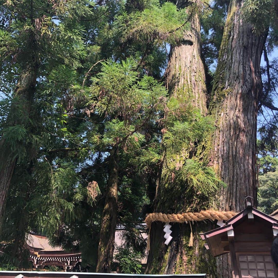 小林万希子さんのインスタグラム写真 - (小林万希子Instagram)「大神神社⛩へ ・ 奈良県桜井市にある「大神神社」は日本最古の神社で、本殿に当たる部分が三輪山という山そのものなんです✨ ・ ・ 本殿で娘のお礼をお伝えしてから、新たに息子のお願いを✨ ・ 拝殿前に佇む「巳の神杉」にもしっかりと卵とお酒をお供えして、一緒に写真も撮りました！ ・ 狭井神社の御神水「くすり水」もその場でいただいて、お水も購入してきましたよ👍 ・ 息子君は知恵の神様と言われる久延彦神社にお参りしてから絵馬でしっかり念押しを🙏 これ以上の運気アップはないでしょう！！笑😊💓 ・ ・ エリアすべてがパワースポットと言われるだけあって本当に歩いているだけでも気持ちがよくて清々しい空間です✨ ・ 心も身体も清められ… ・ 参拝後は三輪そうめんの煮麺と柿の葉寿司をいただき、ほっこりしながら帰路につきました(//∇//) ・ ・ 今夏は遠出はなかなかできませんが、ずっとお礼参りに行きたかった大神神社にやっと参拝できて、よき「巳の日」になりました♡ ・ いろんなものが清められて 身も心も軽くなりましたよ〜😊 明日からまた頑張ります💪💕 ・ ・ #大神神社  #三輪山 #三ツ鳥居 #巳の神杉  #狭井神社  #くすり道  #薬の神様  #薬井戸  #御神水  #久延彦神社  #知恵の神様  #三輪そうめん  #にゅうめん  #柿の葉寿司」8月6日 22時37分 - macky1218