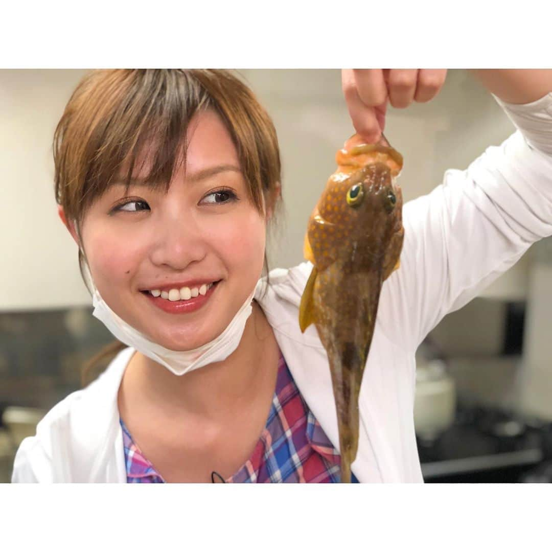 南條早紀さんのインスタグラム写真 - (南條早紀Instagram)「うひひひひひ🐟 . 久しぶりに船に乗って釣りを楽しんだら （先週のフルサタ！にて） キジハタが釣れたよ✨✨ . 人気が高い高級魚。 ずいぶん前にキジハタを狙ったとき 夜20時くらいからはじめて、 朝までかかっても釣れなかった 憧れのキジハタだよ🥺笑 . 今回は1投目でカサゴが釣れて、 その次すぐ釣れたよ😂✨✨ 早かったーーーー！！ . 勝手に根魚の王様だと思っている 美味しいおいしいキジハタ❤️ 私のところに来てくれてありがとう！ 雅丸の宝田船長、釣らせてくださり ありがとうございました😊✨✨ . . お刺身にしていただきました！ 上品でぷりぷりな白身、最高でした❤️ ごちそうさまでした🐟✨ . . . #富山県 #富山市 #富山 #水橋 #toyama #釣り #釣りガール #釣り初心者 #釣り好き #エサ #ホタルイカ #高級魚 #キジハタ #根魚 #船釣り #雅丸 #富山湾 #釣船 #おいしい #お刺身 #白身 #王様 #最高 #楽しかった #美味しかった  #富山テレビ #フルサタ #アナウンサー #南條早紀 #なんじょうのにちじょう」8月6日 22時39分 - nanjo_saki