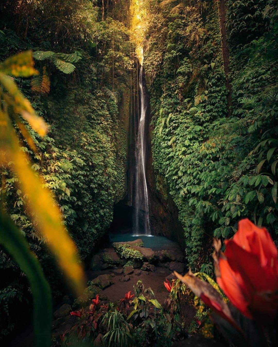 Discover Earthさんのインスタグラム写真 - (Discover EarthInstagram)「"From a beautiful adventure through the jungle in Bali last year. We went and visited this waterfall after spending the night at a bamboo cabin with a swing."  🇮🇩 #discoverindonesia with @emmett_sparling  #swing #indonesia #bamboo」8月6日 23時00分 - discoverearth