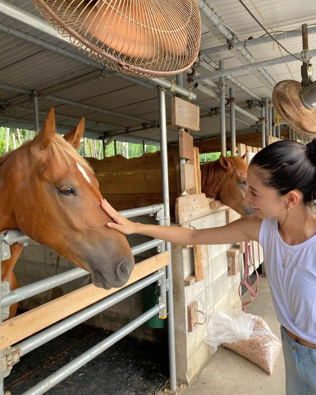 宮城夏鈴さんのインスタグラム写真 - (宮城夏鈴Instagram)「木曜日日が沈む前 イケメンと初対面🤦🏻💕  賢こくて悪戯心もあり さらに🤦🏻💕  #瀬良垣ホースファーム」8月6日 23時14分 - karin_karin0516