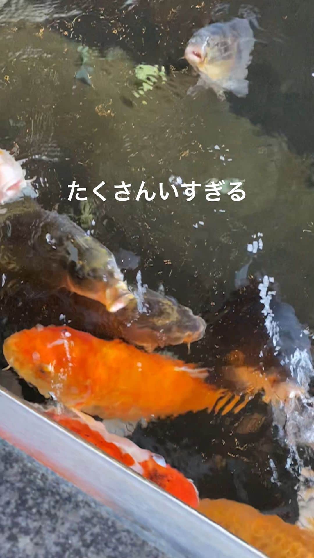 のインスタグラム