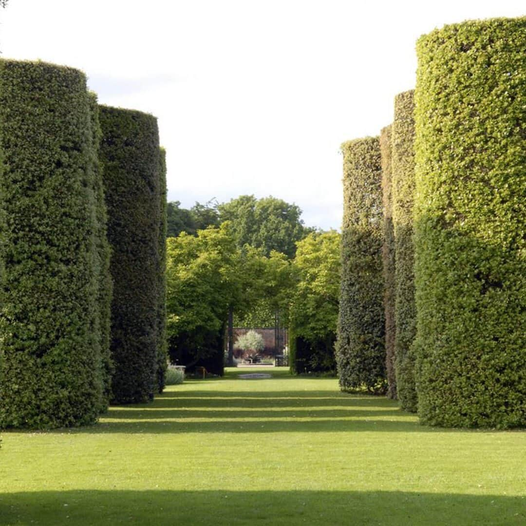 クリスティーズさんのインスタグラム写真 - (クリスティーズInstagram)「Inspired by a plan of his mother's from the 1970s, Lord Ashbrook created The Grove at Arley Hall full of ornamental trees, shrubs and rhododendrons which provide an attractive walk for visitors throughout the season.⠀ .⠀ Lord Ashbrook's family have tended to the gardens at Arley hall for five hundred years and created 'garden rooms' before the phrase was even coined.⠀ .⠀ As part of the Historic Houses group, Arley Hall is in the shortlist for the Historic Houses Garden of the Year awards, sponsored by Christie's.⠀ .⠀ You can vote for your favourite of 2020 from now until 30 September. Link in bio to vote. ⠀ .⠀ Arley Hall, Cheshire⠀ .⠀ @historic_houses @arleyhallandgardens #historichouses #gardens #outdoors #landscapes #goty2020 #gardenoftheyear #horticulture #horticulturaldesign」8月7日 0時28分 - christiesinc