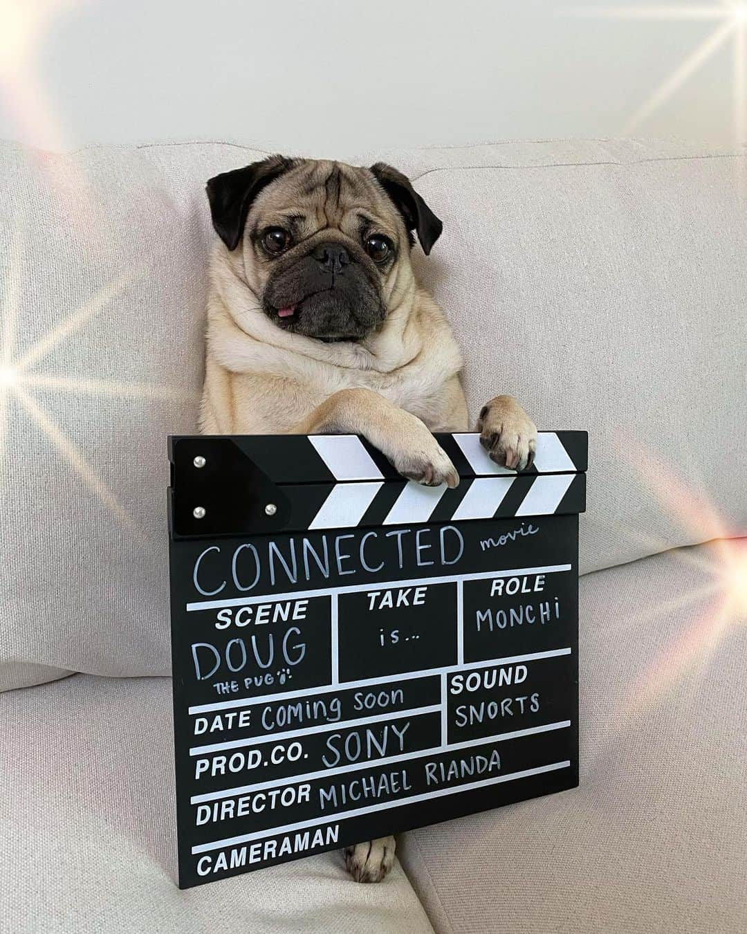 itsdougthepugさんのインスタグラム写真 - (itsdougthepugInstagram)「“Lights, camera, pug” -Doug • Yesterday was a big day for this little pug! Who’s excited to hear me in my first movie? @connectedmovie」8月7日 1時18分 - itsdougthepug