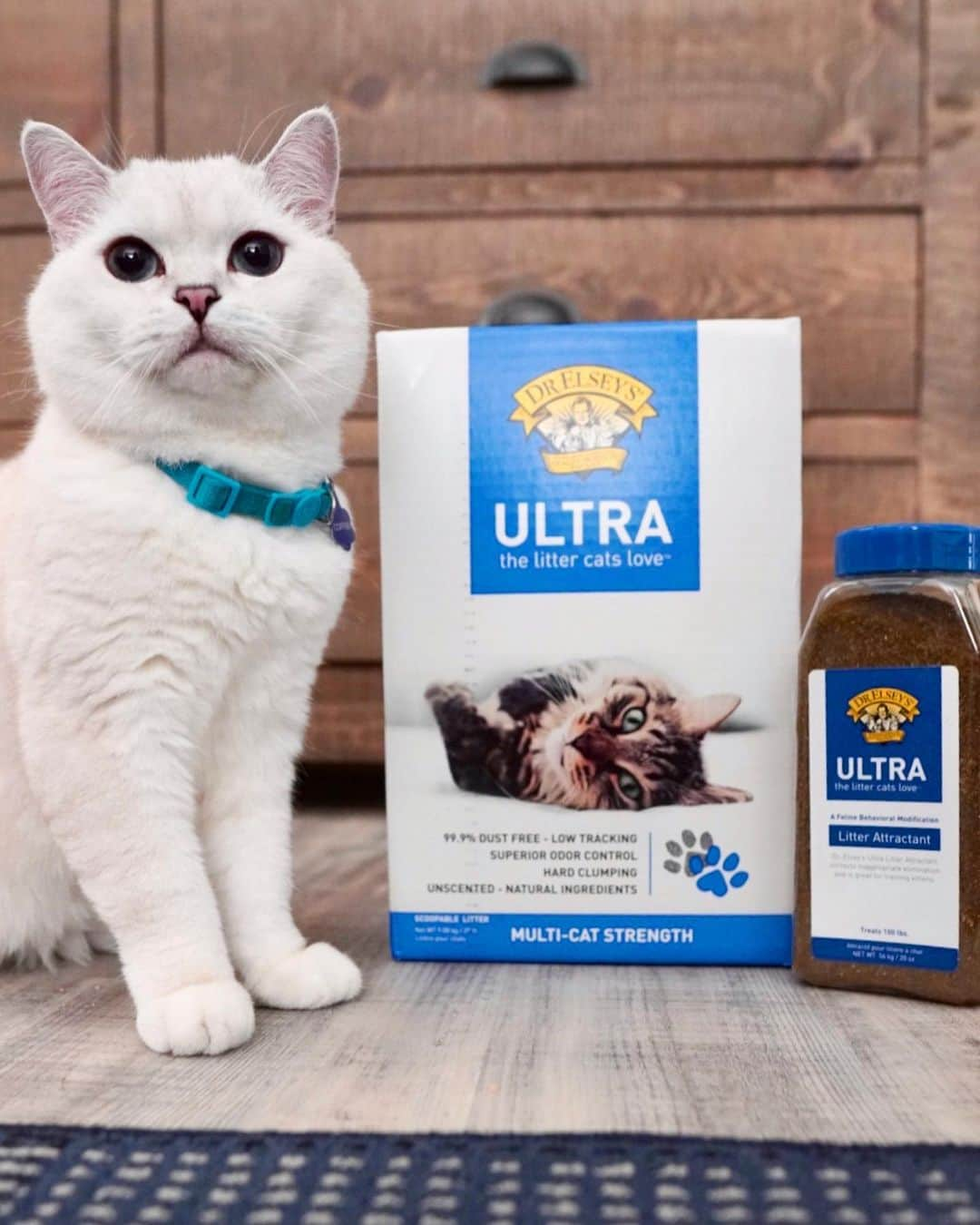 ミスター・ホワイトさんのインスタグラム写真 - (ミスター・ホワイトInstagram)「@drelseys cares about the wellbeing of your cat and the proof is in their litter. Ultra Litter has superior odor control and is perfect for multi-cat families just like mine! Mom’s favorite features, non-tracking granules, excellent clumping, and formulated to prevent moisture from reaching the bottom of the tray.   Litter box issues? Ultra Litter Attractant™ is the best tool providing a guaranteed solution for cats that won’t use their litter box. One of the main reasons cats get surrendered to the shelter is house soiling due to failure to use the litter box. Ultra Litter Attractant™ attracts kitties back to their litter box and keeps families together. #drelseys」8月7日 2時14分 - white_coffee_cat