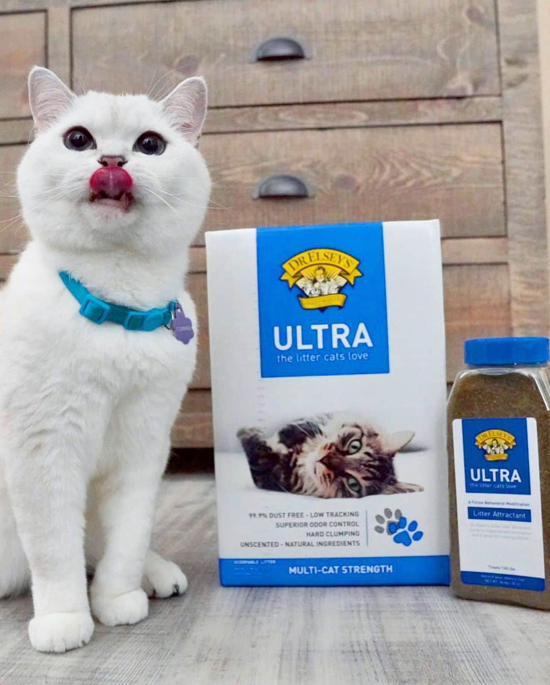 ミスター・ホワイトさんのインスタグラム写真 - (ミスター・ホワイトInstagram)「@drelseys cares about the wellbeing of your cat and the proof is in their litter. Ultra Litter has superior odor control and is perfect for multi-cat families just like mine! Mom’s favorite features, non-tracking granules, excellent clumping, and formulated to prevent moisture from reaching the bottom of the tray.   Litter box issues? Ultra Litter Attractant™ is the best tool providing a guaranteed solution for cats that won’t use their litter box. One of the main reasons cats get surrendered to the shelter is house soiling due to failure to use the litter box. Ultra Litter Attractant™ attracts kitties back to their litter box and keeps families together. #drelseys」8月7日 2時14分 - white_coffee_cat