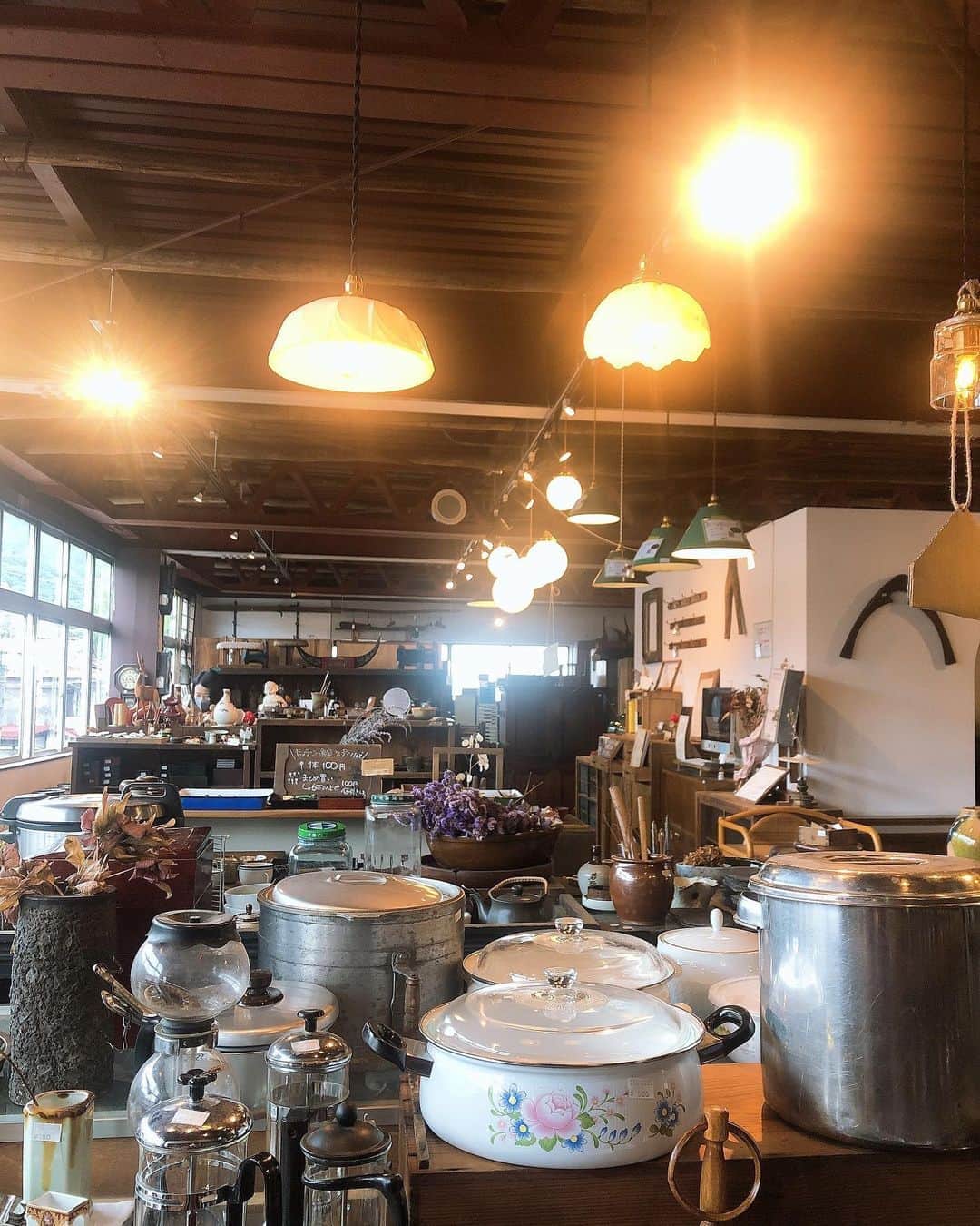 池田泉のグルメインスタ