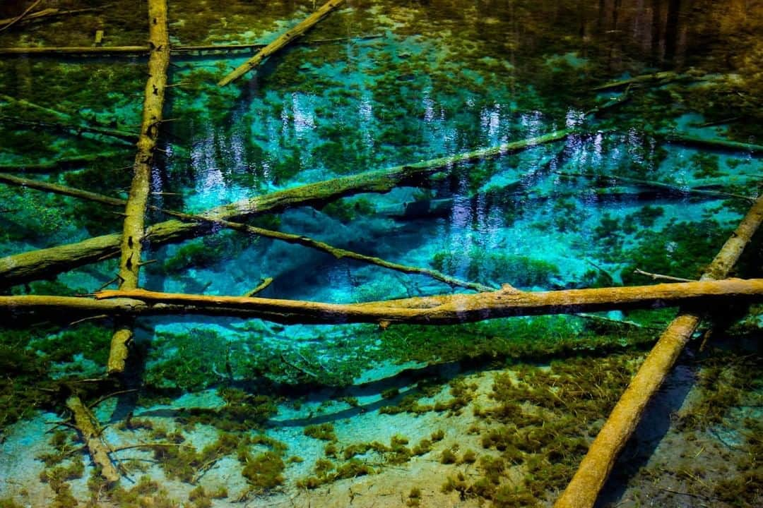 日本の国立公園さんのインスタグラム写真 - (日本の国立公園Instagram)「Akan-Mashu National Park is located in eastern Hokkaido and is one of the longest-established parks in the Hokkaido region. Most of the park area is covered in natural forest comprising mainly subarctic mixed coniferous forest that is said to be some of the most primeval forests of all the national parks in Japan.⠀ ⠀ #AkanMashuNationalPark⠀ ⠀ https://www.japan.travel/national-parks/parks/akan-mashu/⠀ ⠀ Japan is an island nation full of vibrant nature and diverse landscapes.⠀ Magnificent mountains, frozen waterfalls, green forests, active volcanoes, blue oceans and endemic wildlife inspire curiosity and wonder.⠀ All of these natural assets are preserved in the national parks of Japan.」8月7日 15時00分 - nationalpark_japan