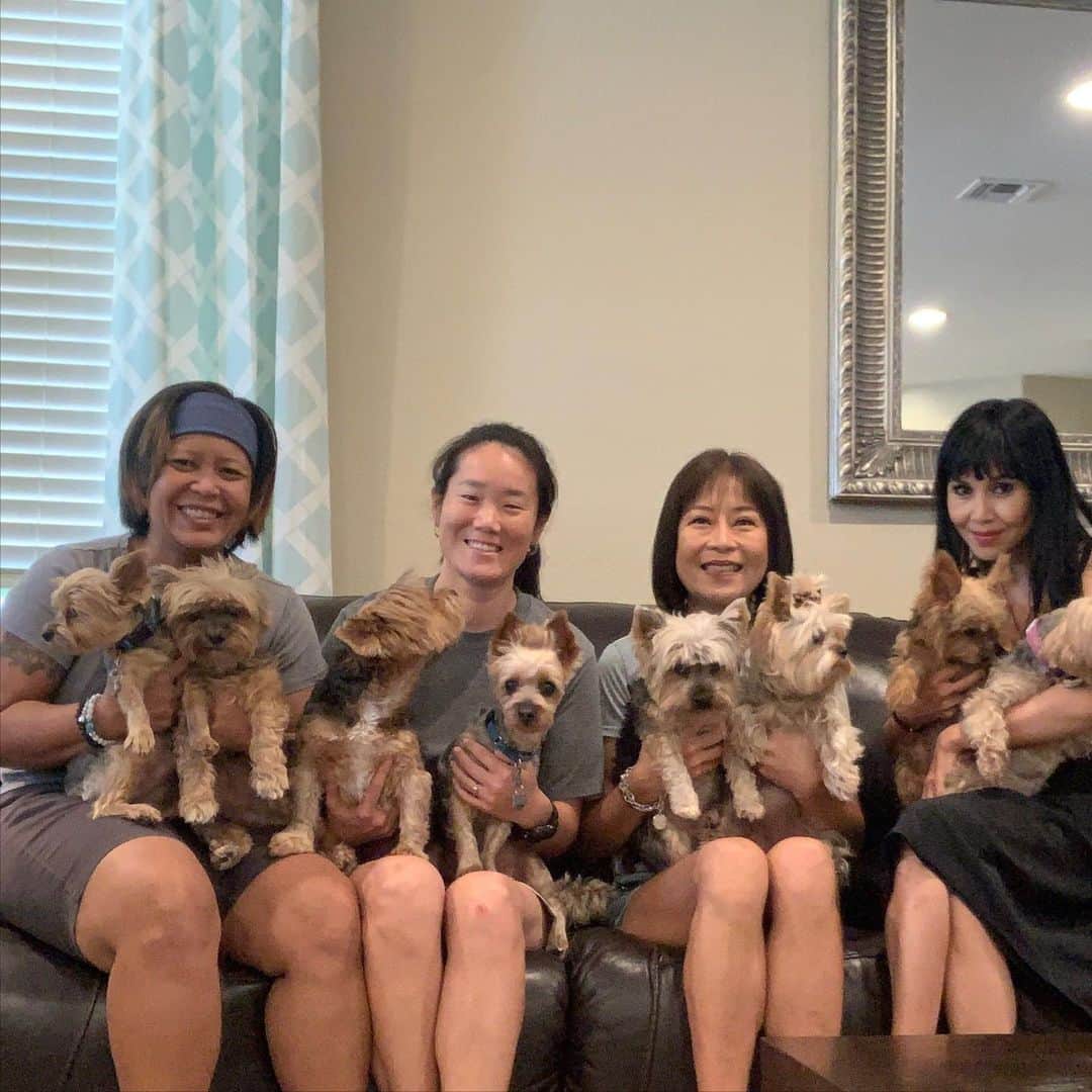 のインスタグラム：「Super fun time with friends from Las Vegas! Aug 4-6  @iloveleoandcoco_ @moodyhappy @july_the_yorkie #YorkieMoms #DogMoms #ProudDogMoms #IGFamilyRock」