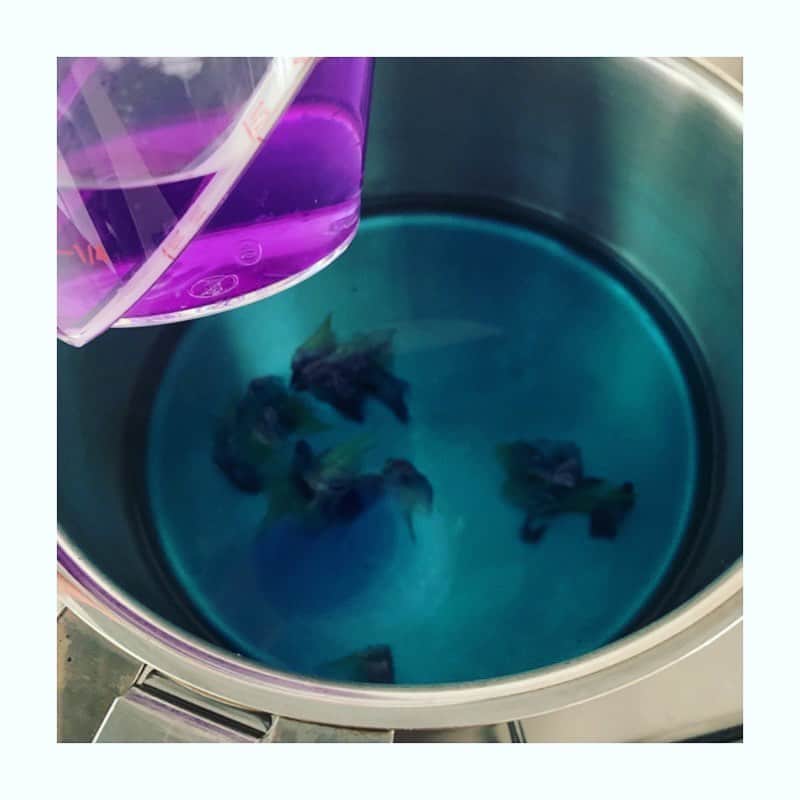 市橋有里さんのインスタグラム写真 - (市橋有里Instagram)「【小笠原の島野菜】  バタフライピィーで小笠原の海を作ってみました。 本当はブルー×酸の実験で、ピンクになる予定だったのでスイーツを作ろうかと思っていました。でも結果、色が違ったのでゼリーにしてから泡に合うつまみになってしまいましたw  紫の花はバタフライピィーといって、東南アジアの豆系の花で 効能は血液サラサラ等 今注目の食材 効能が高すぎて 手術前や生理中は取らない方が 良いんだそうです☝️ さ、今日は金曜日 今週もおつかれさまでした🍻 ・ #小笠原諸島 #島野菜 #バタフライピィー #ほたてのレモンソース小笠原の海仕立て #小料理屋あり @ogarunwakako ありがとう💙」8月7日 8時10分 - ariichihashi