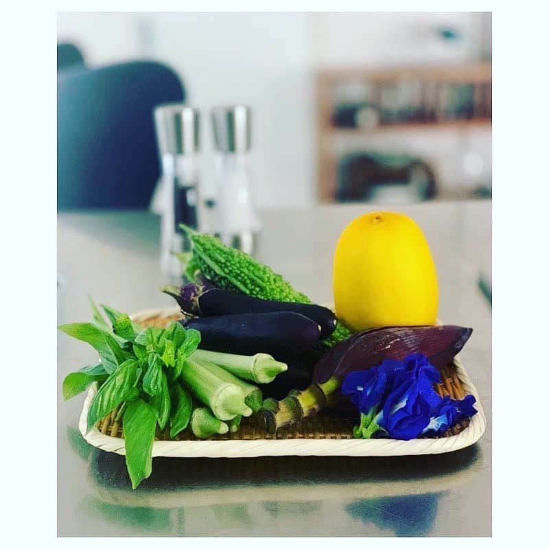 市橋有里さんのインスタグラム写真 - (市橋有里Instagram)「【小笠原の島野菜】  バタフライピィーで小笠原の海を作ってみました。 本当はブルー×酸の実験で、ピンクになる予定だったのでスイーツを作ろうかと思っていました。でも結果、色が違ったのでゼリーにしてから泡に合うつまみになってしまいましたw  紫の花はバタフライピィーといって、東南アジアの豆系の花で 効能は血液サラサラ等 今注目の食材 効能が高すぎて 手術前や生理中は取らない方が 良いんだそうです☝️ さ、今日は金曜日 今週もおつかれさまでした🍻 ・ #小笠原諸島 #島野菜 #バタフライピィー #ほたてのレモンソース小笠原の海仕立て #小料理屋あり @ogarunwakako ありがとう💙」8月7日 8時10分 - ariichihashi