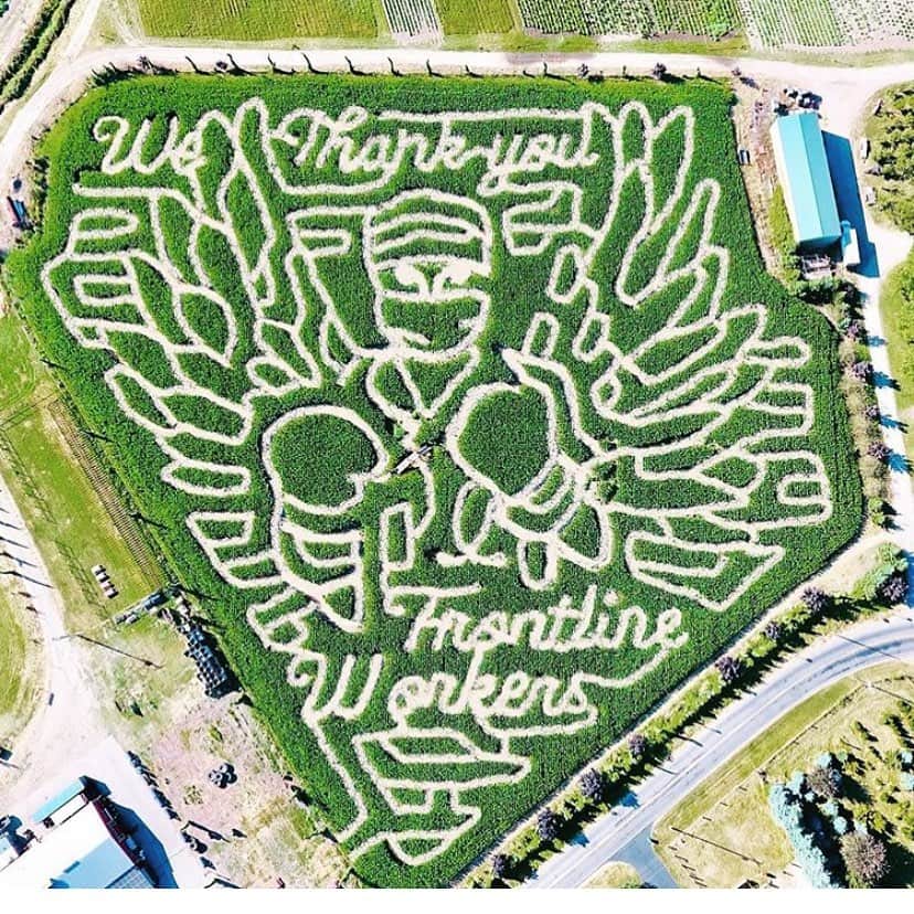 Portlandさんのインスタグラム写真 - (PortlandInstagram)「@bellaorganicfarm has dedicated their 7 acre corn maze this year to our country’s frontline workers for all they have done and continue to do for our communities! To say “Thank you”, they will be granting FREE admission for ALL frontline workers for the entire month of September! The maze will be open September 5-October 31. (For more information, including COVID-19 rules-visit @bellaorganicfarm website) - 📍: @bellaorganicfarm  #Portland #PortlandNW #PDX #OregonNW」8月7日 9時02分 - portland