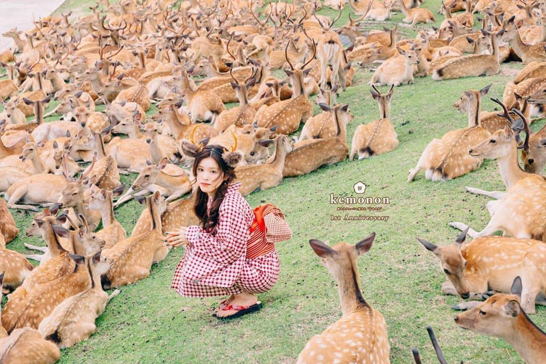 熊乃あいのインスタグラム：「鹿のカチューシャレンタル開始🦌 ． 8/9~25(水休) 鹿のおしりコーヒー   ✩購入3,000円 ✩レンタル1,000円＋預り金2,000円 ※返却時に預り金をお返し致します  20時までにお店に返却お願いします  お問い合わせ、ご予約は DMもしくは info@kemonon.comまで✨ ． ． ． 🏠鹿のおしりCOFFEE  ． 〒630-8373  奈良県奈良市南市町８−１ 古古古屋 2階 ． もちいどの商店街にある、ほうせき箱さんを通り過ぎて1つ目の細道を左に曲がり100m直進>>>> ．  #奈良カフェ#鹿のおしりコーヒー #ならまち　#ならまちカフェ #インスタ映え #期間限定ショップ #奈良旅 #奈良観光 #奈良グルメ #奈良 #スイーツ巡り #スイーツ部  #nara #鹿のカチューシャ屋さん #けものん #narajapan #japantravel #おしゃれカフェ #レンタルけものん #ポートレート #コスプレ #けもみみ #naracafe  #ならまち遊歩 #鹿だまり」