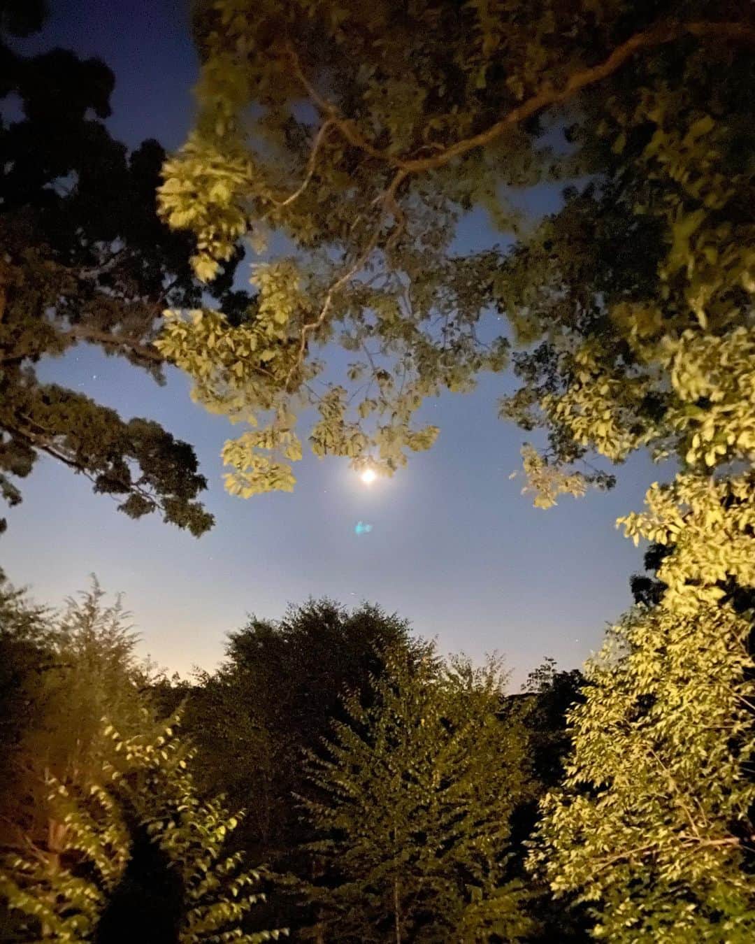 ナルシソロドリゲスさんのインスタグラム写真 - (ナルシソロドリゲスInstagram)「Summer moonlight.」8月7日 10時43分 - narciso_rodriguez