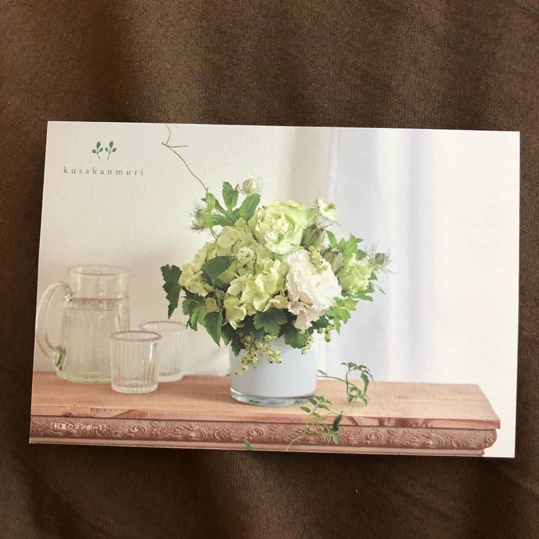 中岡由佳さんのインスタグラム写真 - (中岡由佳Instagram)「このお花は恵比寿のkusakanmuriさんで束ねてもらったもの。白と緑のフラワーショップ🍀癒しの色合い。店員さんもナチュラルで素敵な女性、我が家のお気に入り。そして大きなカタツムリにも会えます👀 #kusakanmuri #green #flowers」8月7日 10時51分 - yuka_nakaoka