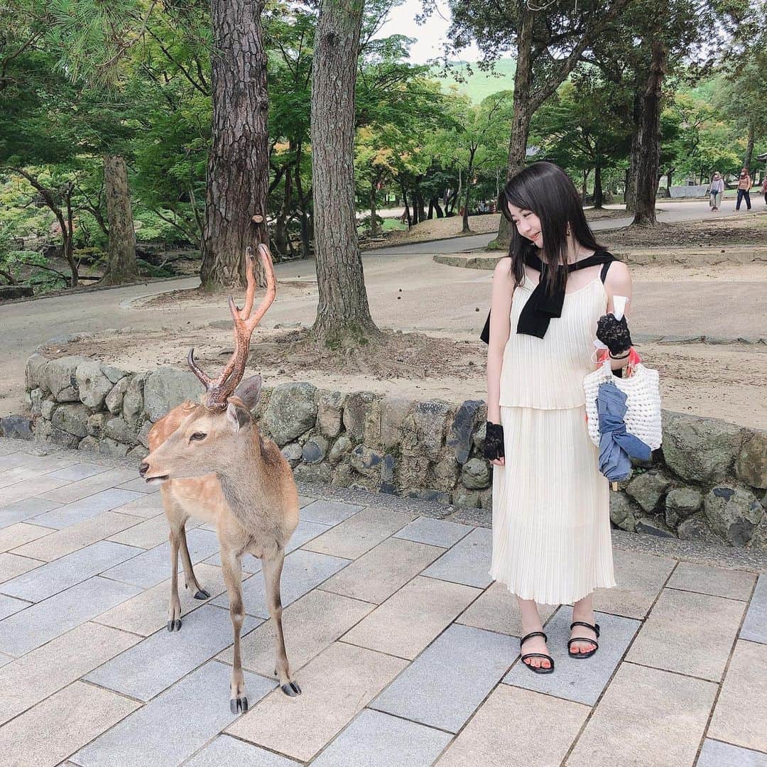 瑛蓮のインスタグラム：「経験したことあるけど、言語化したことのない感情。なんとも言えない気持ちって、いっぱいあるんですね。  #瑛蓮 #言語化　できない」