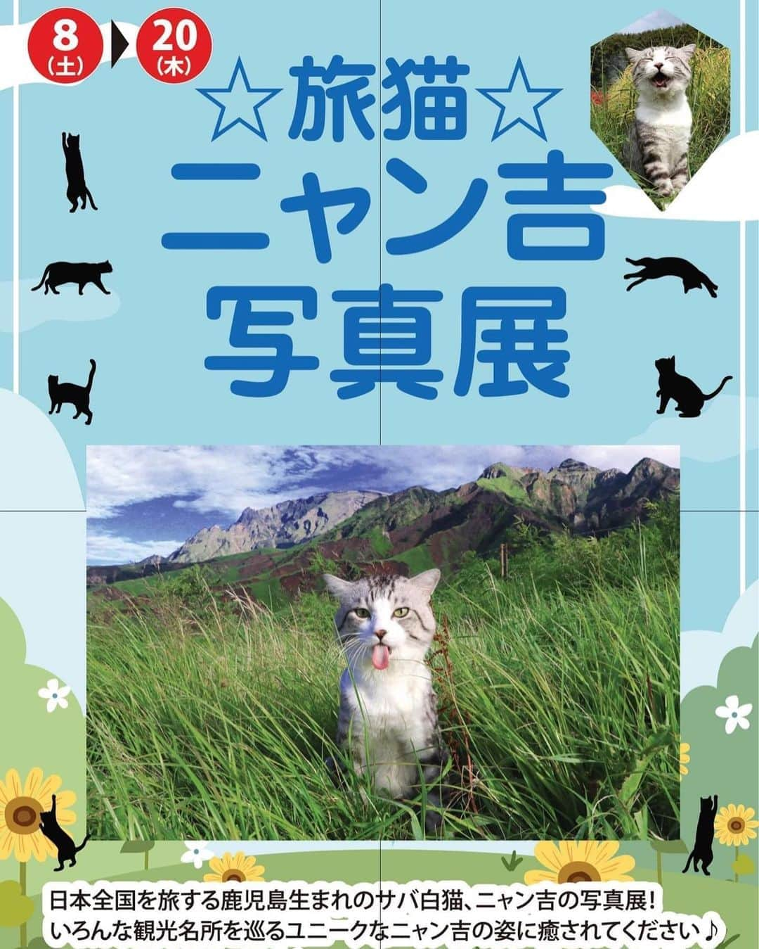 Nyankichi Noranekoさんのインスタグラム写真 - (Nyankichi NoranekoInstagram)「さぁ、8月8日から8月20日まで、イオンモール鹿児島 1階風の広場で「旅猫 ニャン吉写真展」が始まりますよ😸 お盆休みは、ぼくの故郷 鹿児島で、みなさまに笑顔と元気をお届けします。 新作写真もたくさん❣️ みなさん遊びに来てくださいにゃり😀  嘻，由8月8日至8月20日，在永旺百貨鹿兒島分店1樓的風之廣場，「旅貓喵吉寫真展」開始了😺 盂蘭盆節時，在我的家鄉鹿兒島，為大家送上我的笑臉及朝氣。 大量全新拍攝的照片❣ 請大家過來玩喵😀  Hey, 「Nyankichi Photo Exhibition 」will start from August 8th to 20th on the 1st floor of the Wind Plaza, Kagoshima branch of AEON Mall😺  During the Obon Festival, I will give everyone a smile and vigor in my hometown, Kagoshima.  Lots of newly taken photos❣️ Please come and play meow😀  #猫 #cat #고양이 #แมว #貓 #кошка #qata #chat #ニャンスタグラム #gato #catsofinstagram #ねこ部 #旅猫 #cats #野良猫 #ニャン吉 #japan #猫写真 #ねこ #seekor #ネコ #kitty #catlover #動物 #イオンモール鹿児島 #AEON MALL #イオン #写真展 #kucing #kucinglucu」8月7日 12時40分 - noraneko_nyankichi