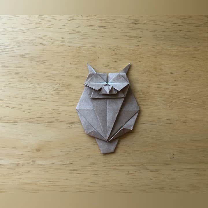 KATのインスタグラム：「This Saturday’s Origami hang is with special guest @roxyrockstv ❤️ She has requested an owl so here goes! 8pm PST Sat there’s a link in the bio!  今週末の折り紙ワークショップは友達のロクシーちゃんが遊びに来てくれます。　彼女のリクエストでフクロウ🦉を皆で作りましょう！　リンクはプロフィールから飛べます。　日本時間日曜日12:00からです！」
