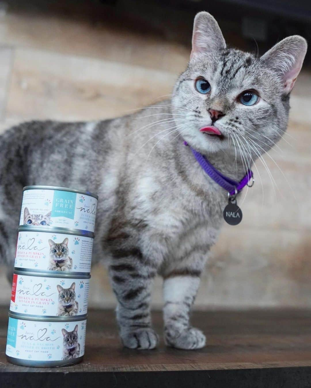 nala_catさんのインスタグラム写真 - (nala_catInstagram)「Amazing deal on @lovenalaco. Buy any 2 cases of wet food and score a free 11 pound bag of our crunchy recipe! Plus we will donate one bag of dry food to @kittenrescuela  Deal ends 8/9 Link in bio to shop! www.lovenala.com」8月7日 23時34分 - nala_cat