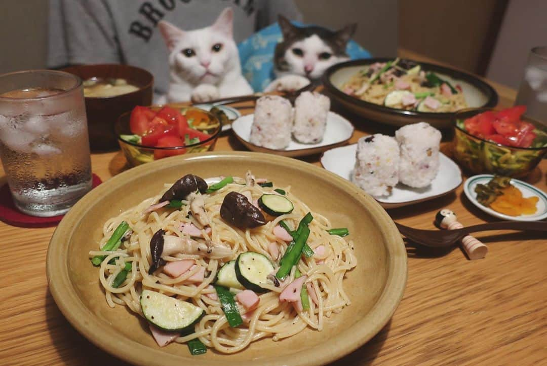 八、おこめさんのインスタグラム写真 - (八、おこめInstagram)「ハッチャ〜ンこっち向いて〜！ 一応、和食やと思う。 最近なんだか和風パスタが好きなのです♩ 今日は、ズッキーニ・霜降りヒラタケ・ハム・ニラの和風パスタ。 #八おこめ #ねこ部 #cat #ねこ #猫 #ネコ #八おこめ食べ物 #和風パスタ」8月7日 23時35分 - naomiuno