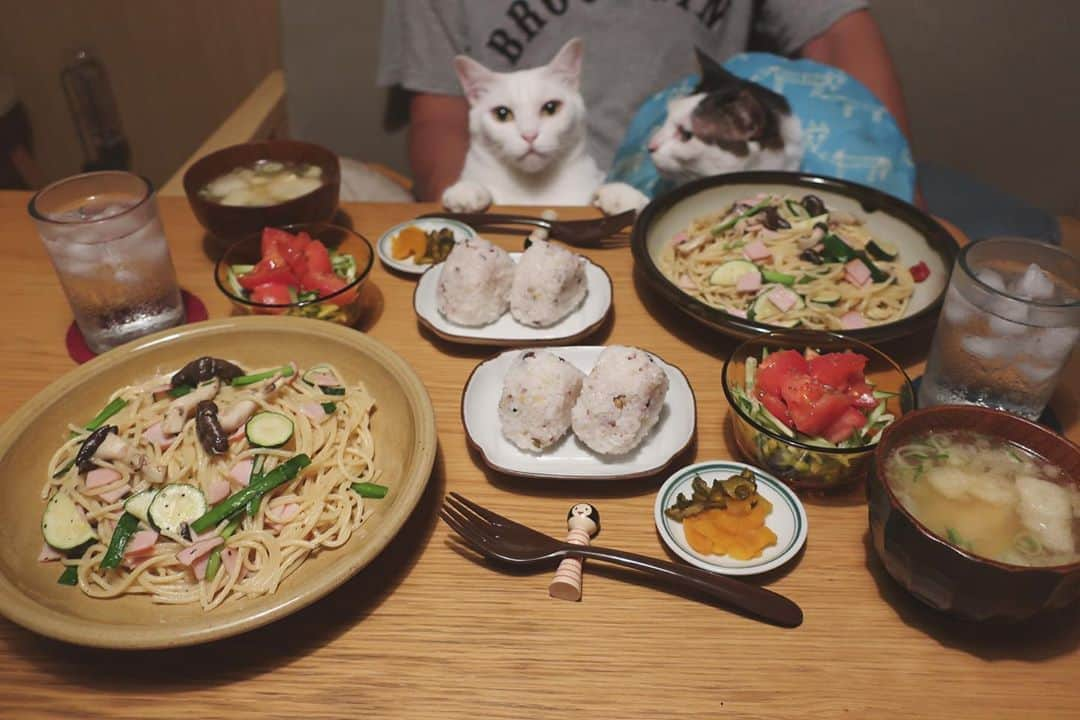 八、おこめさんのインスタグラム写真 - (八、おこめInstagram)「ハッチャ〜ンこっち向いて〜！ 一応、和食やと思う。 最近なんだか和風パスタが好きなのです♩ 今日は、ズッキーニ・霜降りヒラタケ・ハム・ニラの和風パスタ。 #八おこめ #ねこ部 #cat #ねこ #猫 #ネコ #八おこめ食べ物 #和風パスタ」8月7日 23時35分 - naomiuno