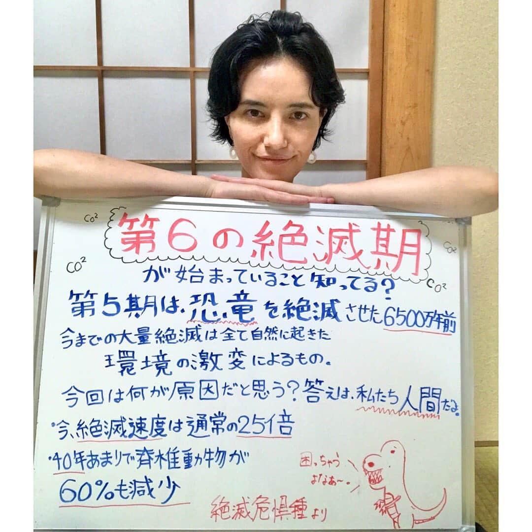 のインスタグラム：「地球はすごい速さで変わってる﻿ 特に今は。﻿ ﻿ 自分がこの事実を知った時に﻿ とてもショックだったけれど﻿ ﻿ 危機を知ることで﻿ 効果的な方法で良い未来をつくれるから書いたよ。﻿ ﻿ 第六絶滅期であることを。﻿ ﻿ 何もしなくても世界は変わる﻿ ﻿ 知ったことで﻿ 思いつくところから行動することで﻿ よい世界に変えられるから❣️﻿ ﻿ 自分が大事だと思うことを発信してるよ。﻿ ﻿ この地球での生活を愛してるし﻿ １つでも多くの生物と共に生きたい﻿  [生物多様性が復活するには数百万年かかる]﻿ と言われているから。﻿ ﻿ ﻿ 何か始めたいなら…身近なところから始めるなら… ❤️Vegan plant-basedをはじめる 💙自分の生活と生き物がどう繋がっているかアンテナを張る📡⚡️ 💚象牙のハンコ輸入を止めること 💜植物油脂と原材料に書かれているものをできるだけ選ばない 💛change.orgとかに載ってる署名に参加して 自分の声を届けることでより大きなインパクトを与えるものに参加する 💟周りの人に学んだことを話して、どう思うかきいてみる  私たちにできることは溢れてるよ💕 #Climatestrikeonline #未来のための金曜日　#気候も危機　#第六の絶滅期#sixthmassextinction」