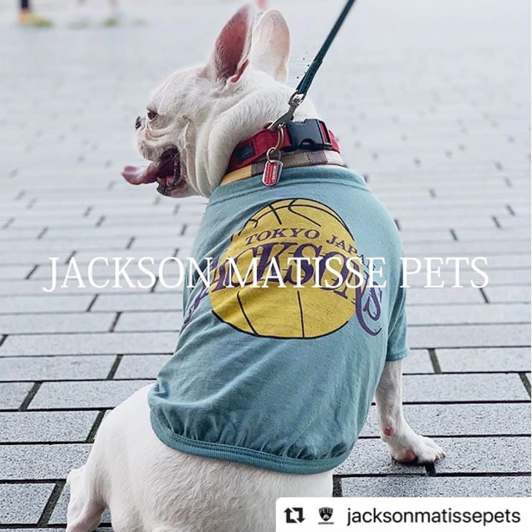 ジャクソンマティスのインスタグラム