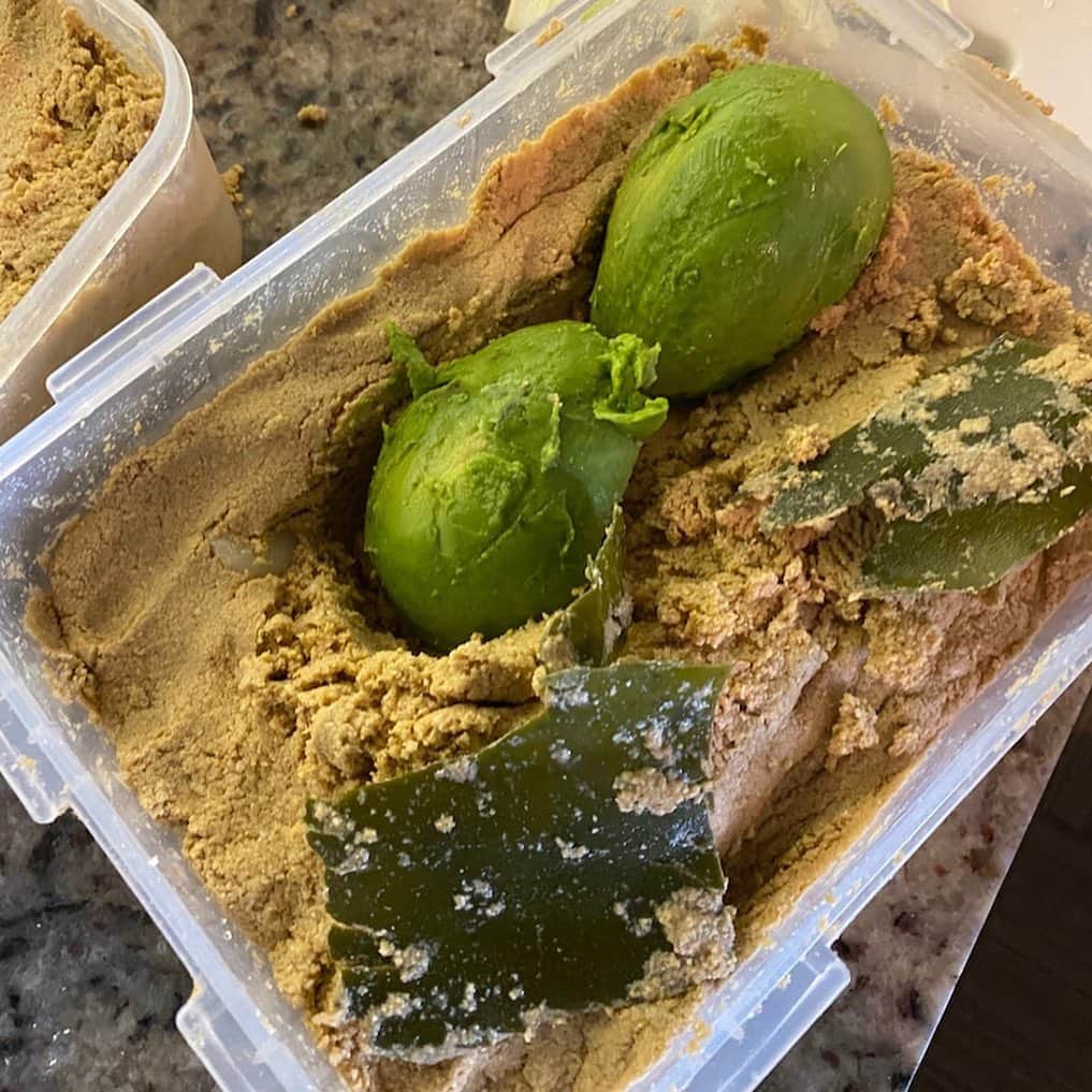市川海老蔵 （11代目）さんのインスタグラム写真 - (市川海老蔵 （11代目）Instagram)「Gonna try this, quinoa.  Plus   pickles. Avocado🥑  Preparing for a meal.  And we’ll be making a pool in our home today!  Yeah - * これやってみようかなと キヌア米。  そして  漬物。 アボカド🥑。  飯の支度です。  そして今日は プールを家につくるぞ！  おー  #市川海老蔵 #海老蔵 #成田屋 #歌舞伎 #ABKAI #ABMORI #ebizoichikawa #ebizo #kabuki #thunderparty #ebizotv #theater #theaterarts #actor #japan #classic」8月7日 15時54分 - ebizoichikawa.ebizoichikawa