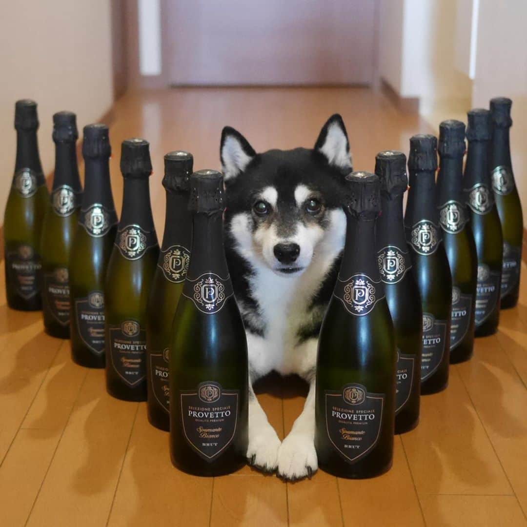 くろのインスタグラム
