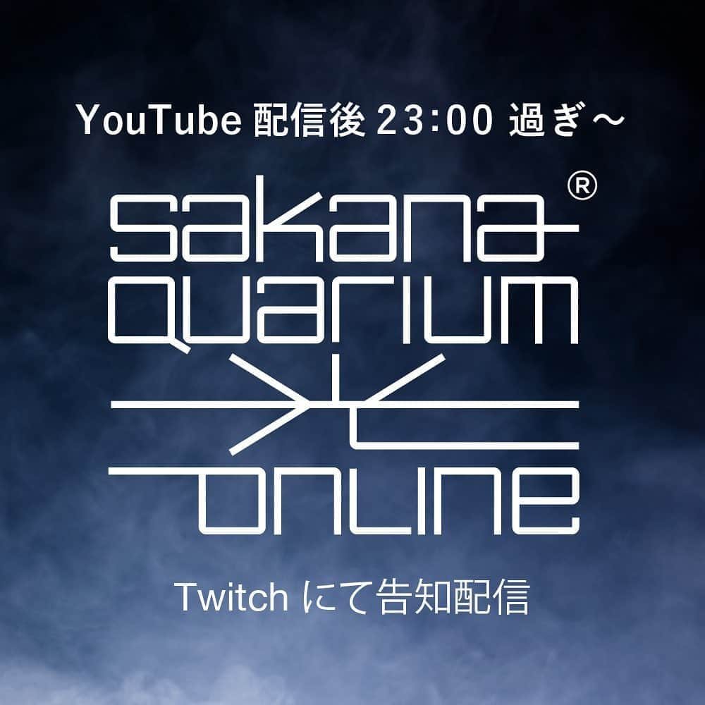 サカナクションさんのインスタグラム写真 - (サカナクションInstagram)「8月8日(土)は配信2本立てでお送りします！  まずは YouTubeでの「SAKANAQUARIUM 2015-2016」配信。  20:45から開場中に演奏していたGOCOO+GoRoのアクトが始まり、ライブ本編の開始は21:00過ぎからスタートします。  YouTube配信終了後の23時過ぎ頃から、Twitchで #SAKANAQUARIUM光 告知配信をお送りします。  それぞれURLはストーリーにリンクをご用意しています。リマインダー設定やチャンネル登録をご活用ください。 #夜を乗りこなす」8月7日 16時20分 - sakanaction_jp