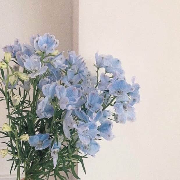 松尾 瞳のインスタグラム：「実家に帰ってきた🌿 . 里帰りのストーリーみて 出産頑張ってください！！ってすごく 多くのメッセージを頂いて感謝、、👶🏻🤍 けど、コロナの影響もあり少し早めに 帰ってきたので予定日はまだ１ヶ月以上先です👶🏻👌🏻笑 . だからがんばるのは多分もう少し先なんだけど、 たくさん暖かい言葉を浴びてポカポカ〜 みんなありがとうございます🐑🤍💠 . #里帰り出産 #プレママ #マタニティライフ」